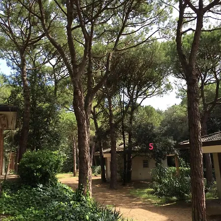 Chalet Villaggio Arco *