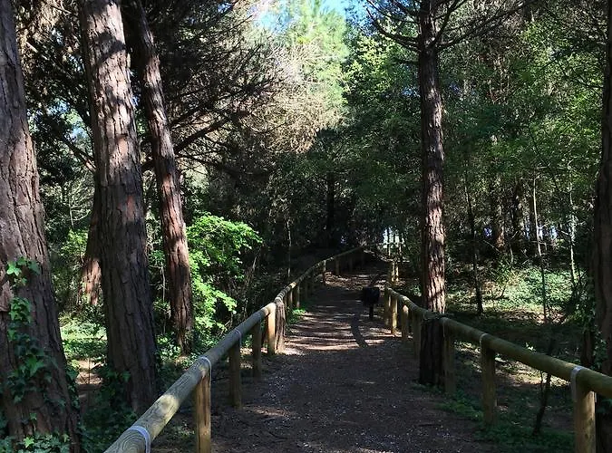 Domek alpejski Villaggio Arco Eraclea Mare